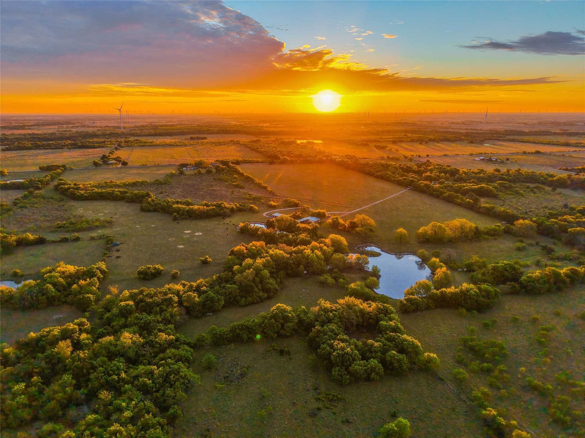 80.13 acres in Hill County - photo 4
