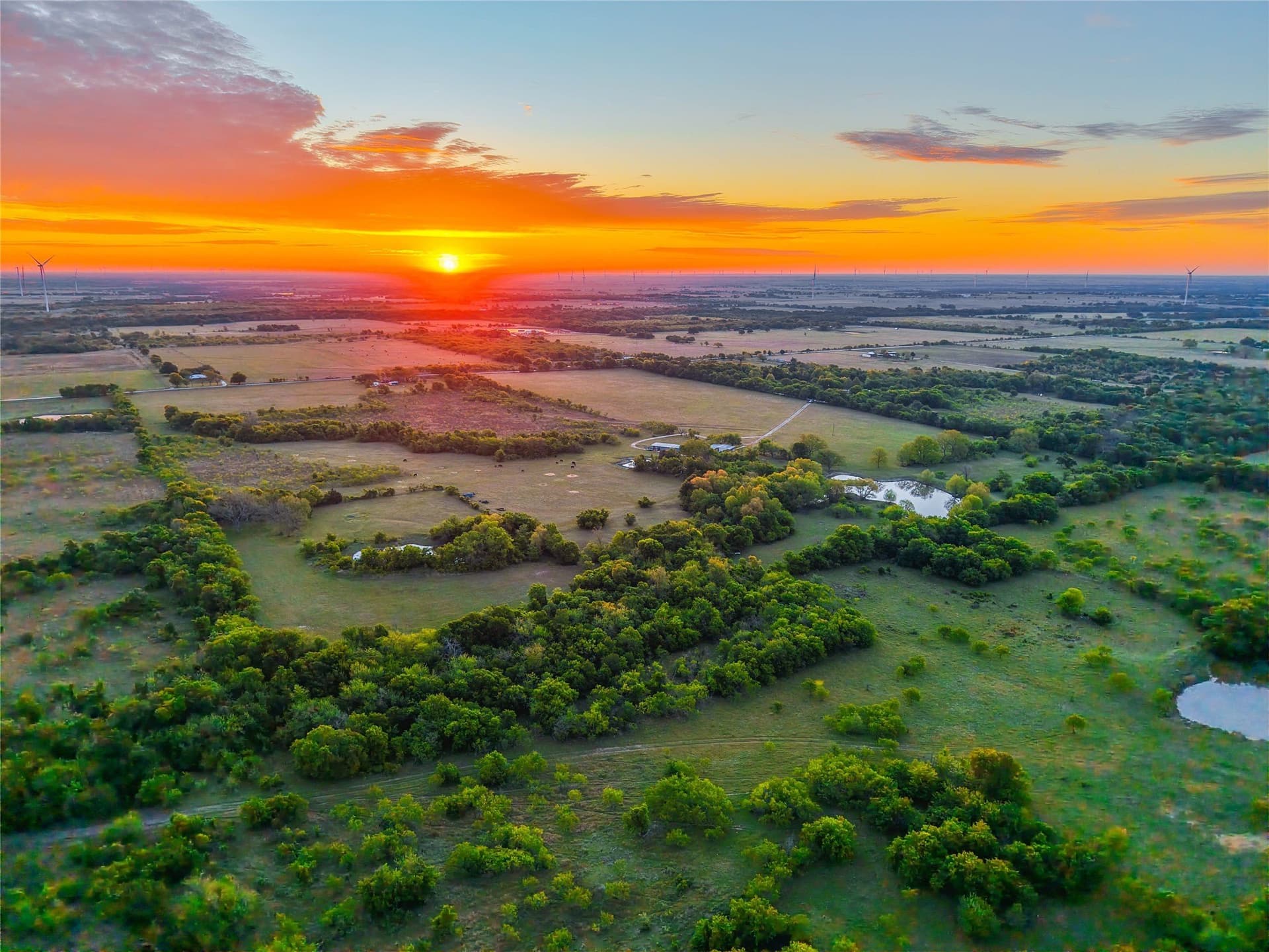 80.13 acres in Hill County - photo 38