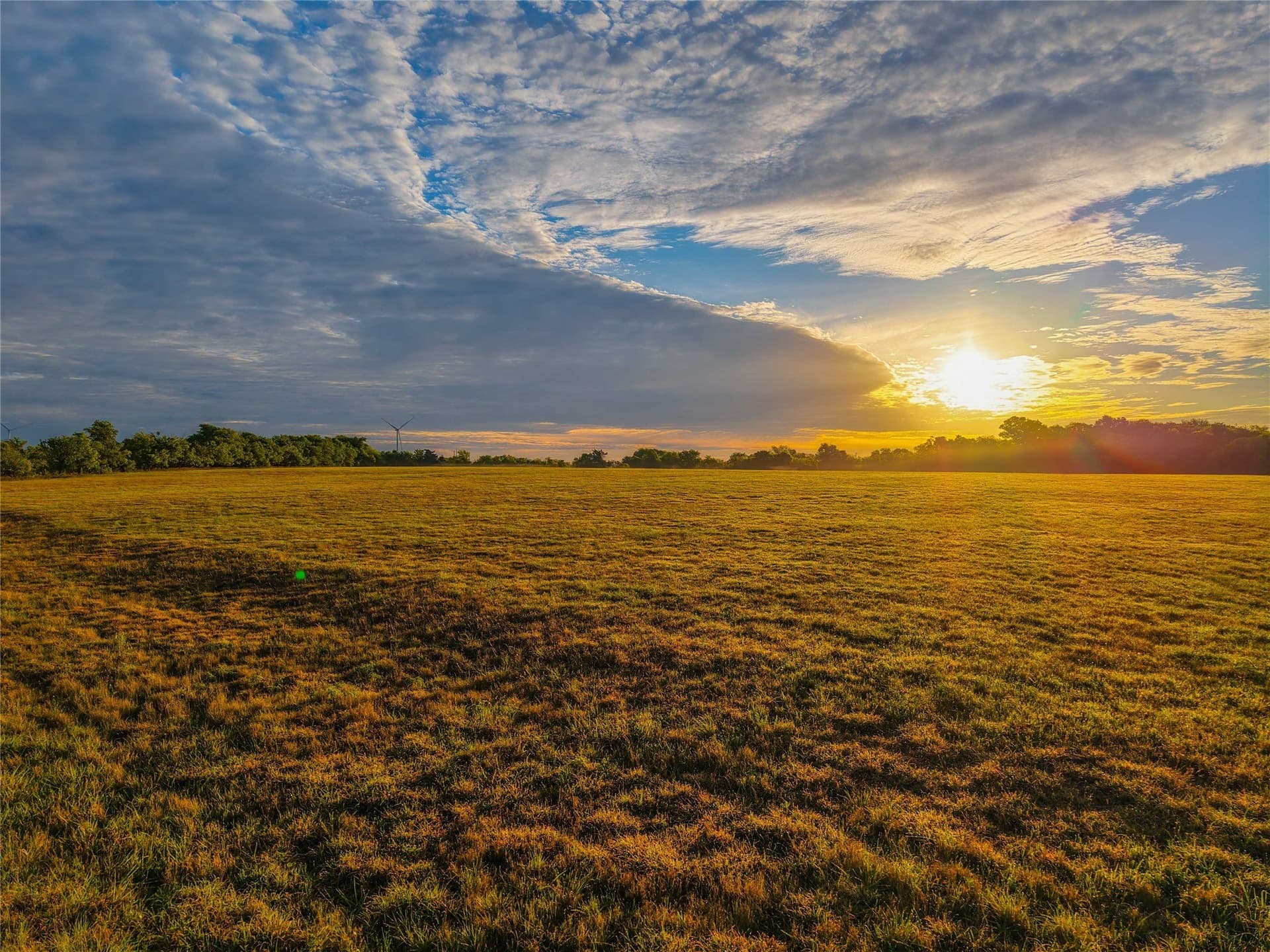 80.13 acres in Hill County - photo 37