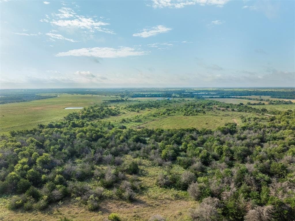 12 acres in Limestone County gallery image 4