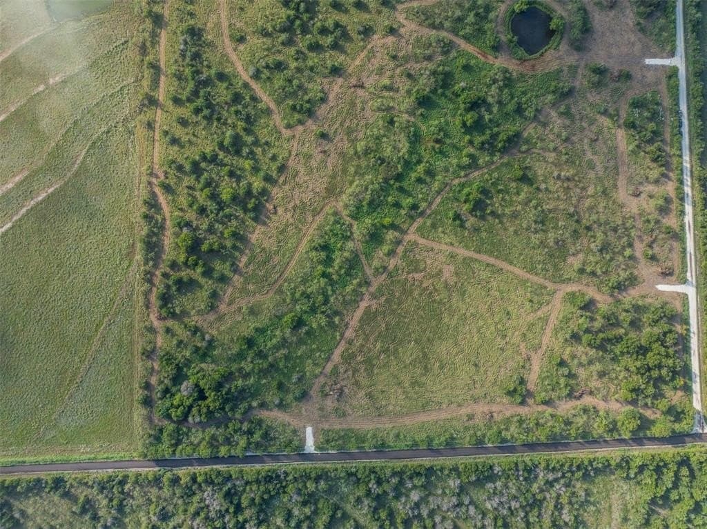 12 acres in Limestone County gallery image 2