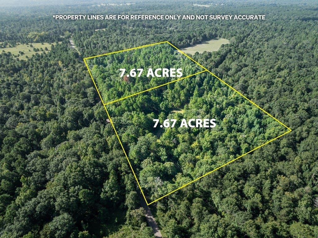 7.67 acres in ANDERSON County gallery image 4