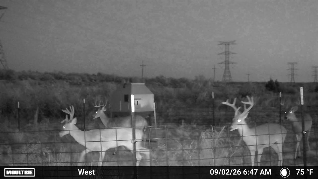 234.2 acres in Dickens County - photo 7