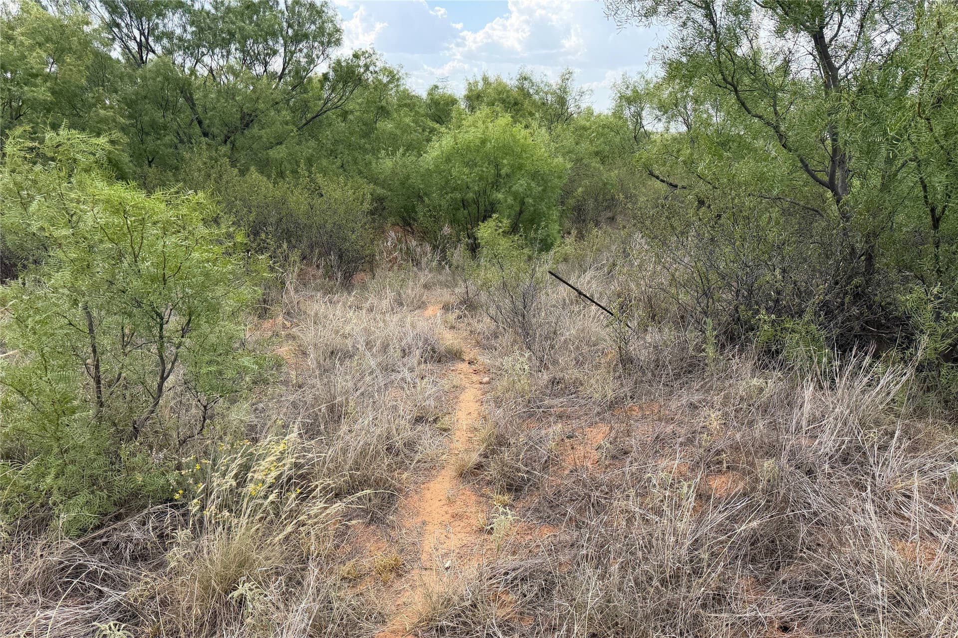234.2 acres in Dickens County - photo 39