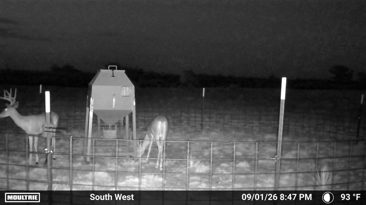 234.2 acres in Dickens County - photo 4