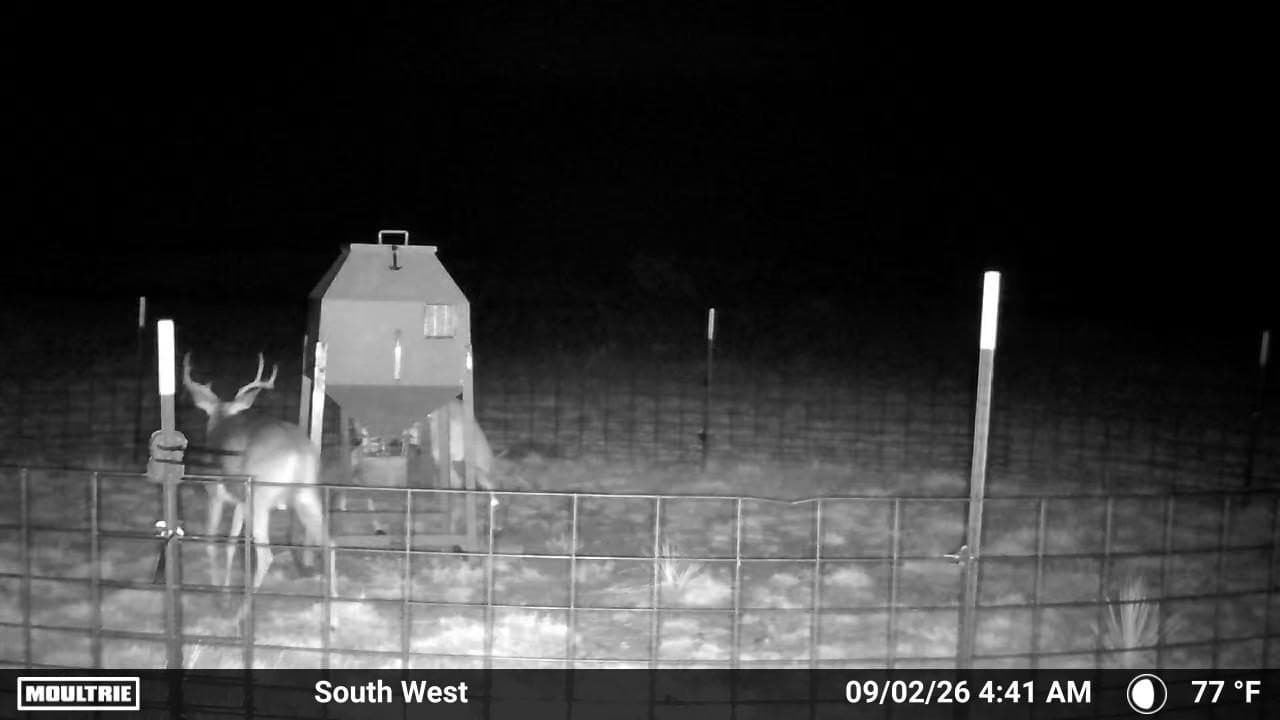 234.2 acres in Dickens County - photo 6