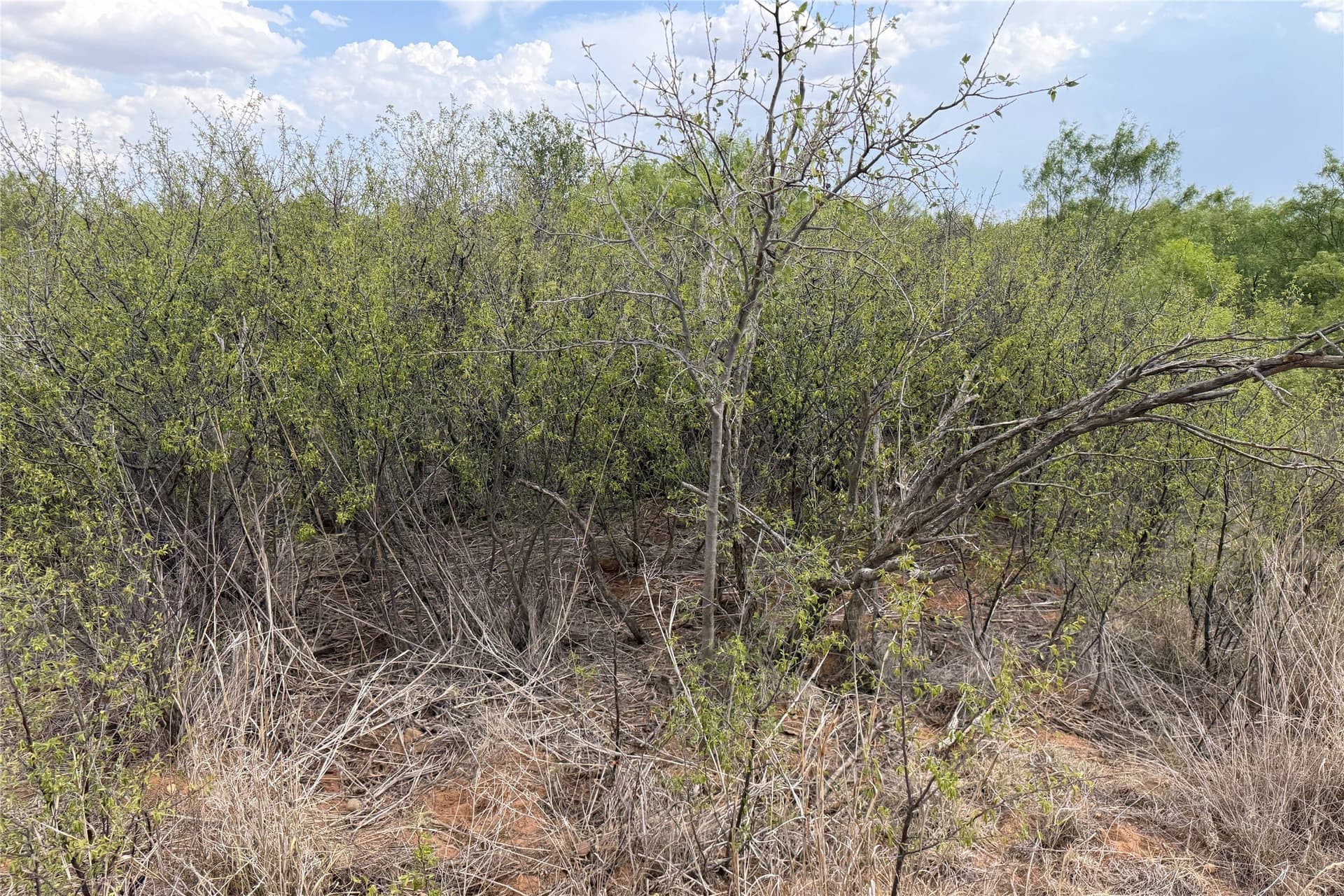 234.2 acres in Dickens County - photo 40
