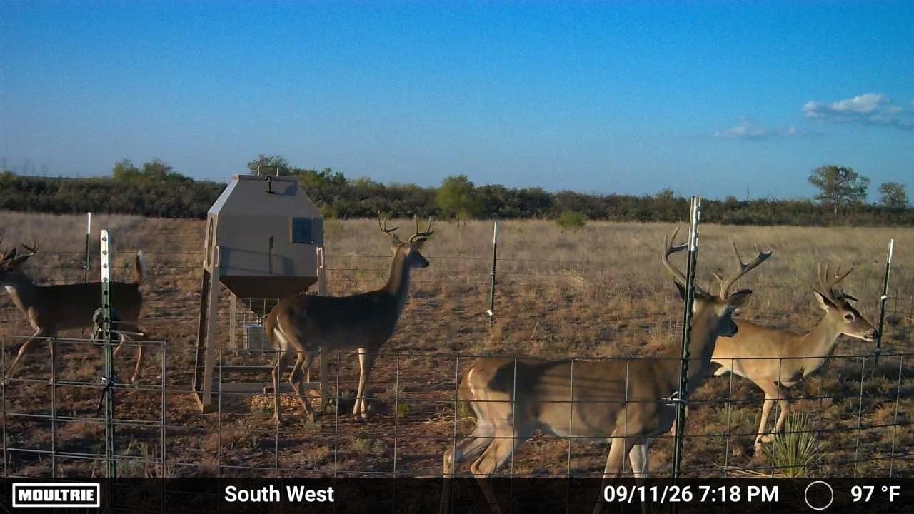 234.2 acres in Dickens County - photo 2