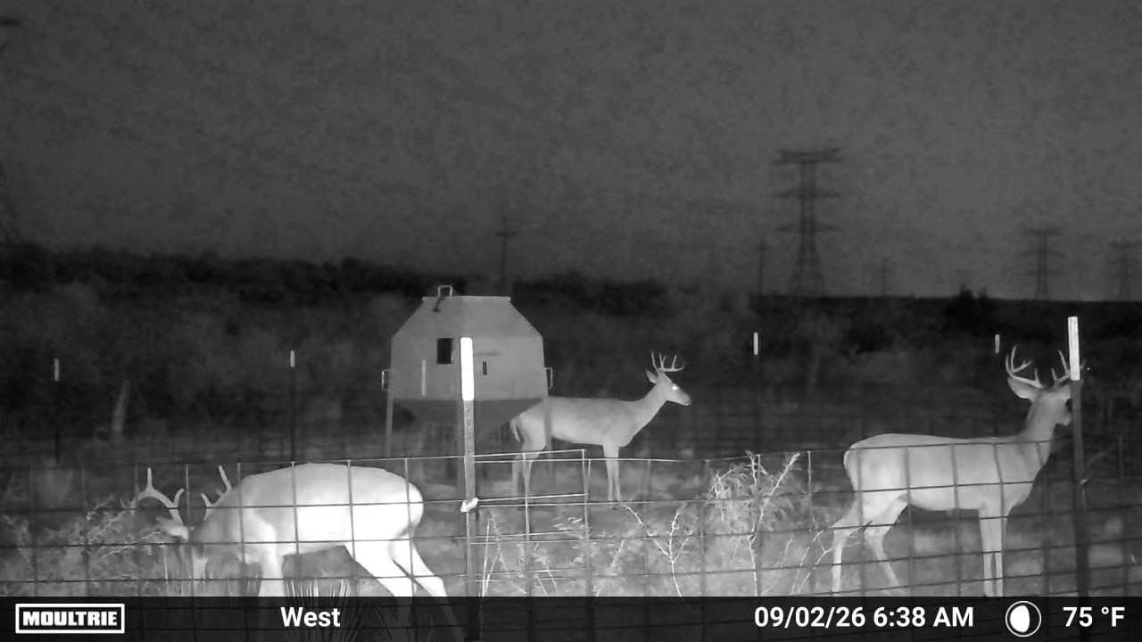 234.2 acres in Dickens County - photo 3