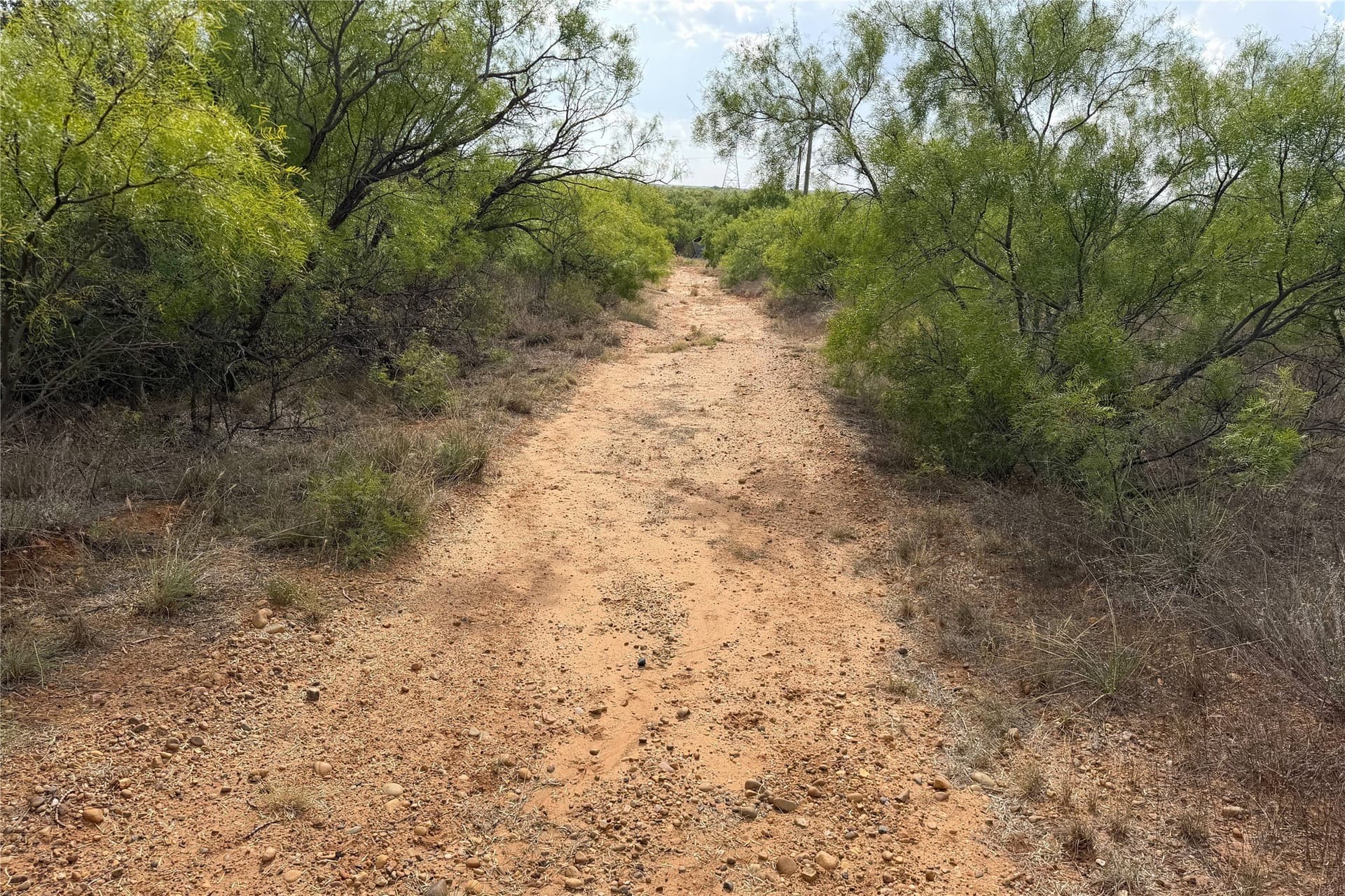 234.2 acres in Dickens County - photo 37