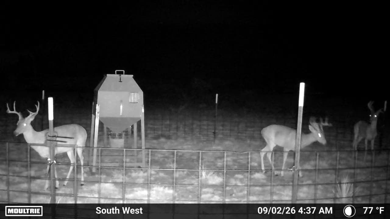 234.2 acres in Dickens County - photo 5