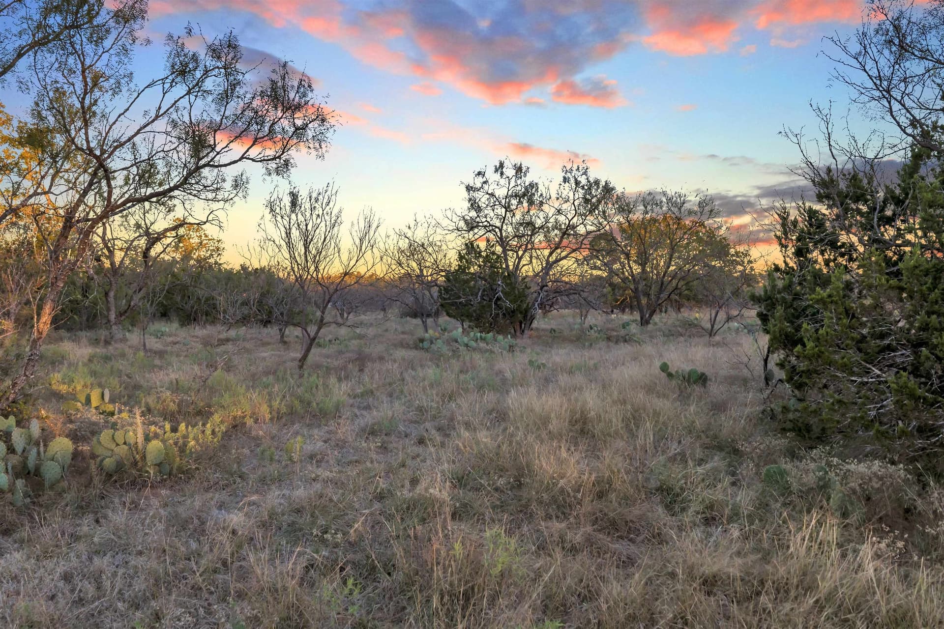 4.51 acres in Burnet County - photo 8