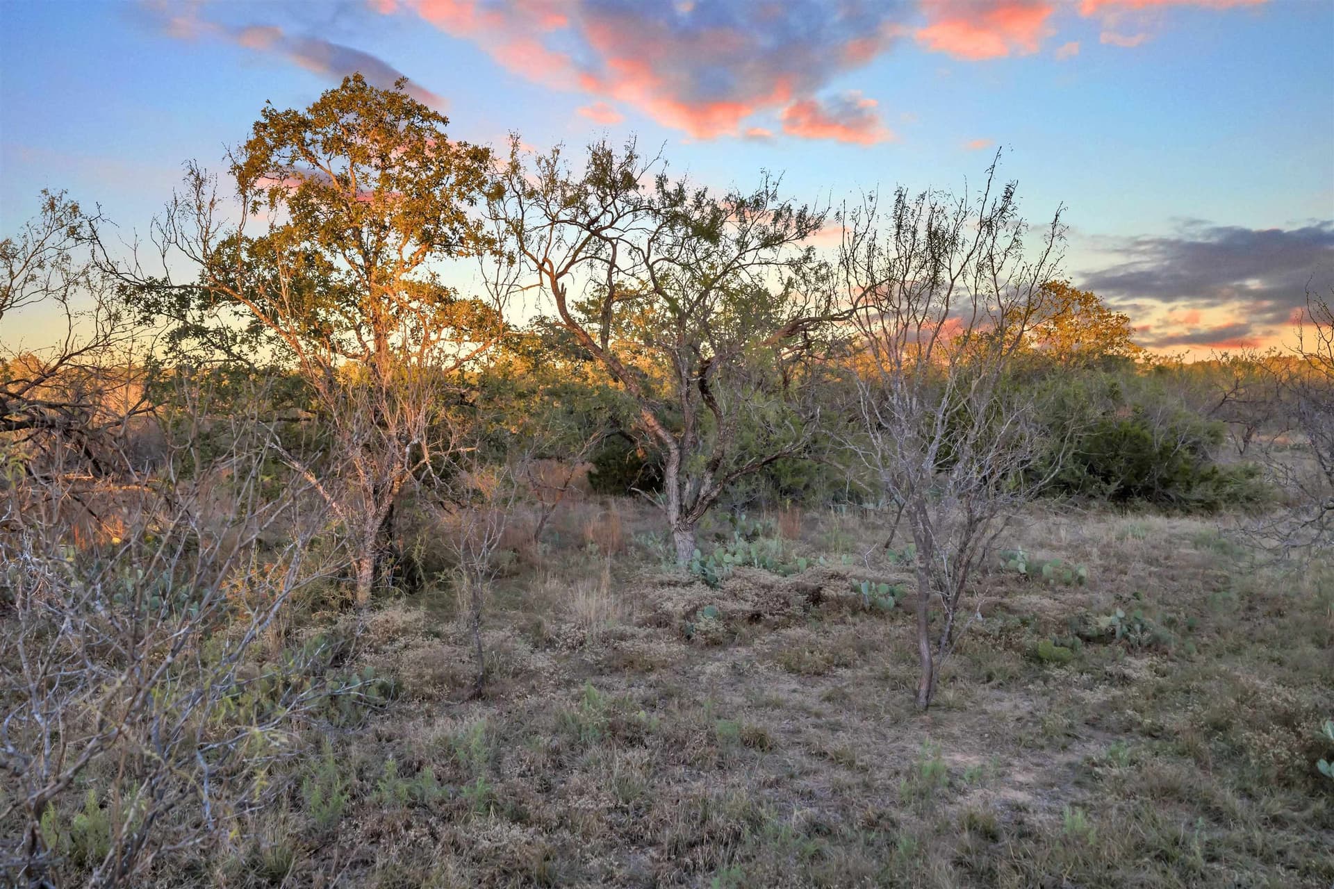 4.51 acres in Burnet County gallery image 4