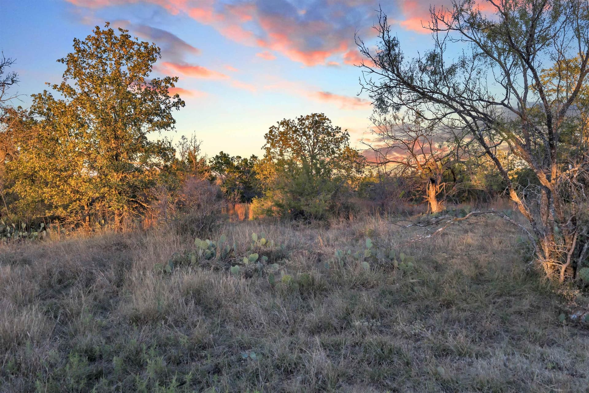 4.51 acres in Burnet County gallery image 3