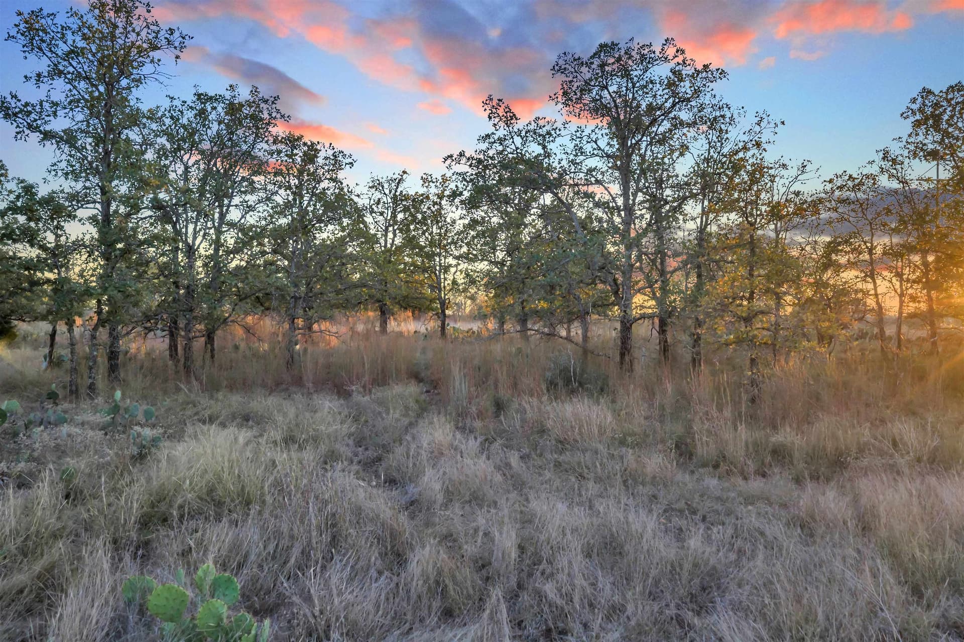 4.51 acres in Burnet County - photo 9