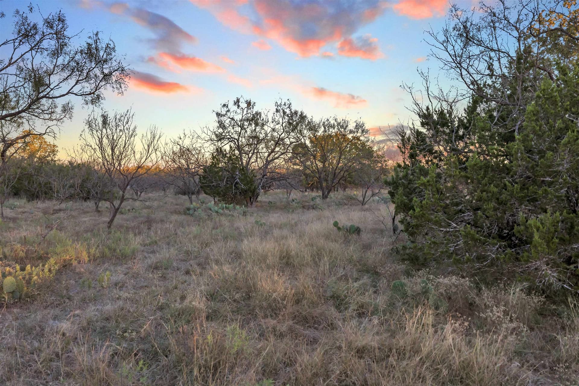 4.51 acres in Burnet County featured view