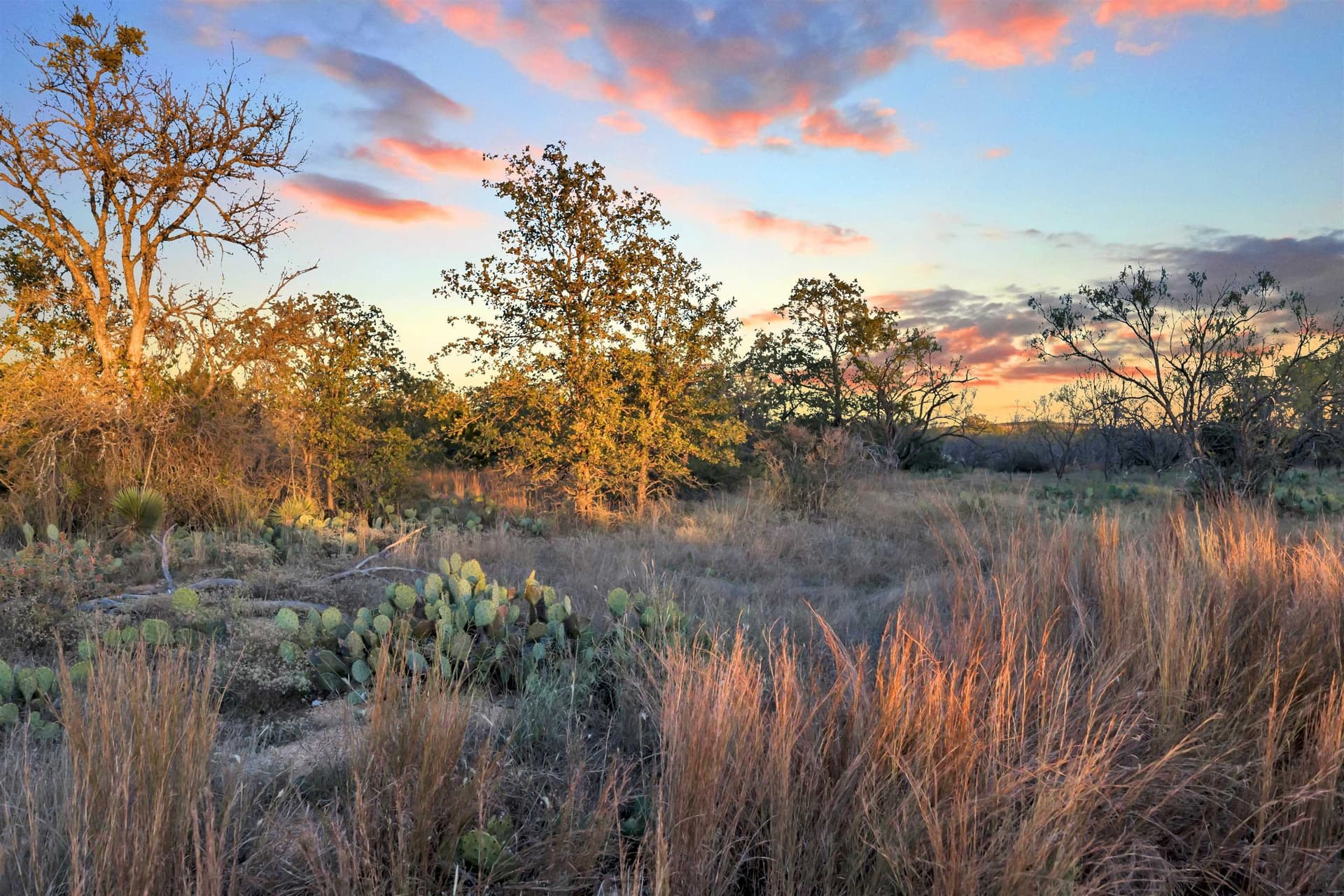 4.51 acres in Burnet County - photo 13