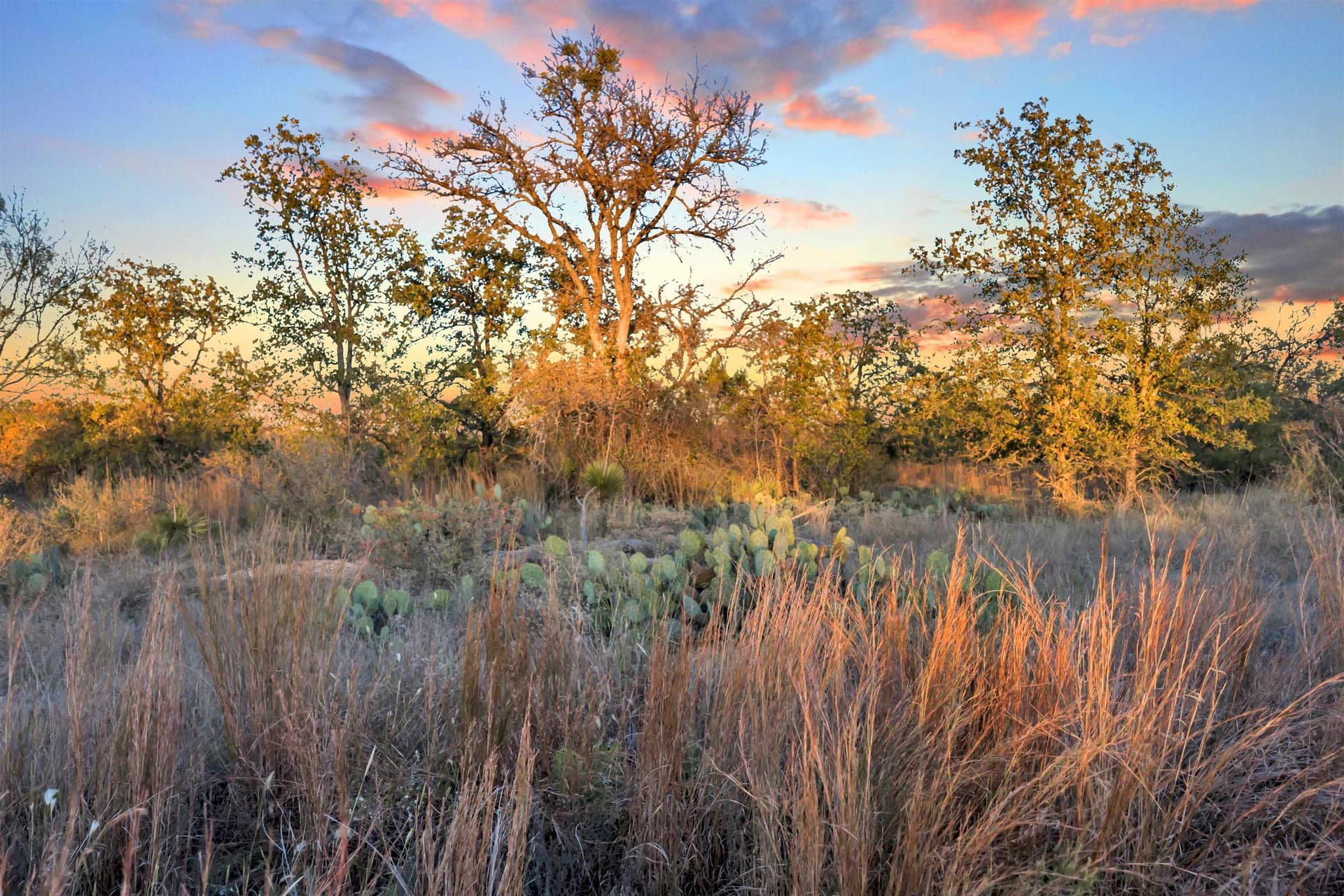 4.51 acres in Burnet County - photo 11