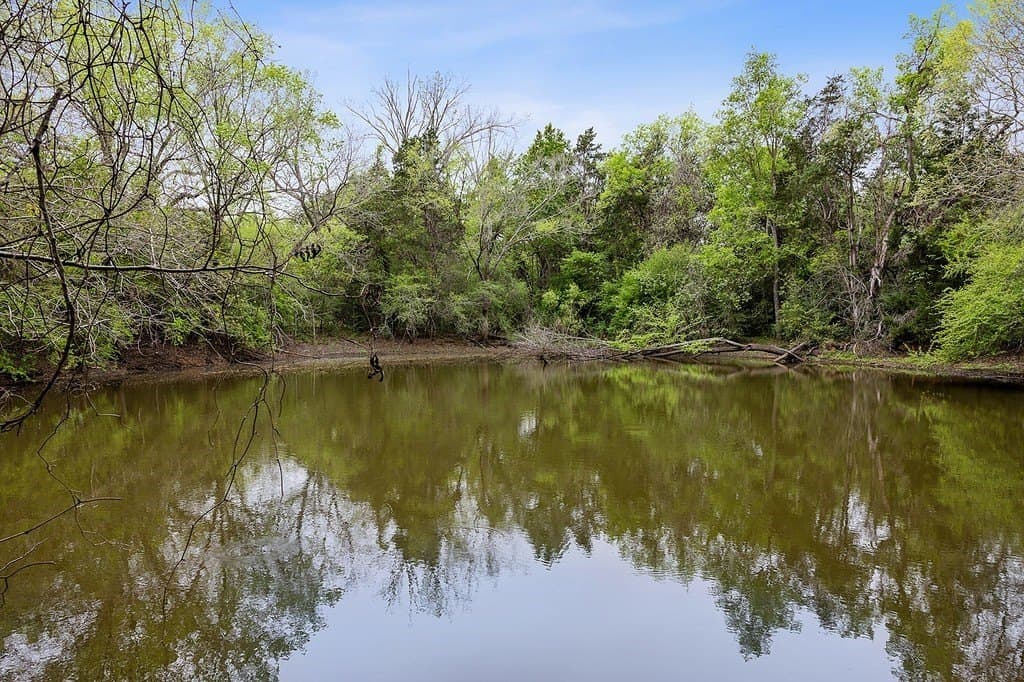 119.38 acres in Lee County gallery image 2