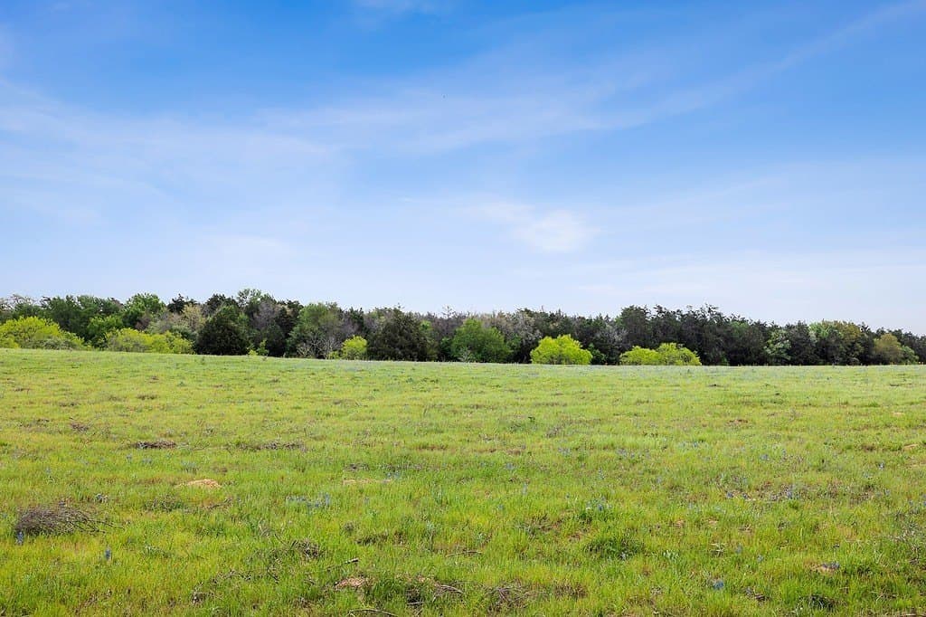 119.38 acres in Lee County gallery image 4