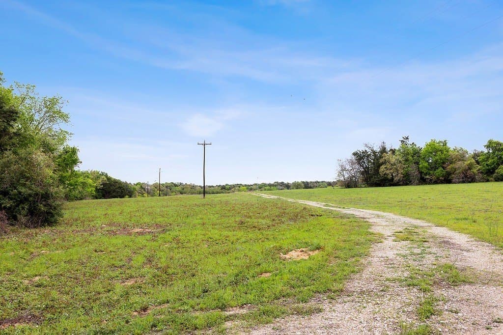 119.38 acres in Lee County gallery image 3