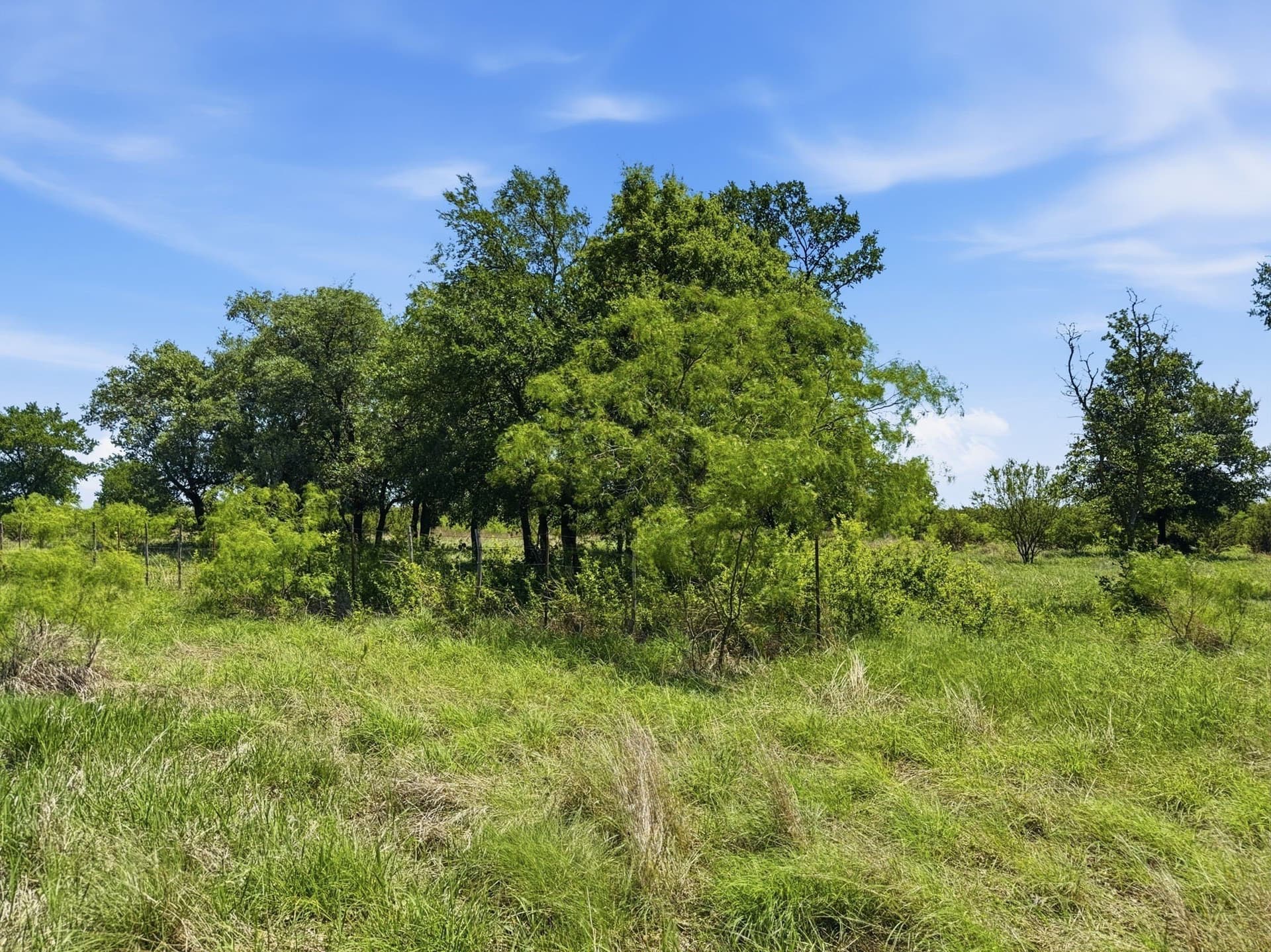 11.01 acres in Hamilton County - photo 7