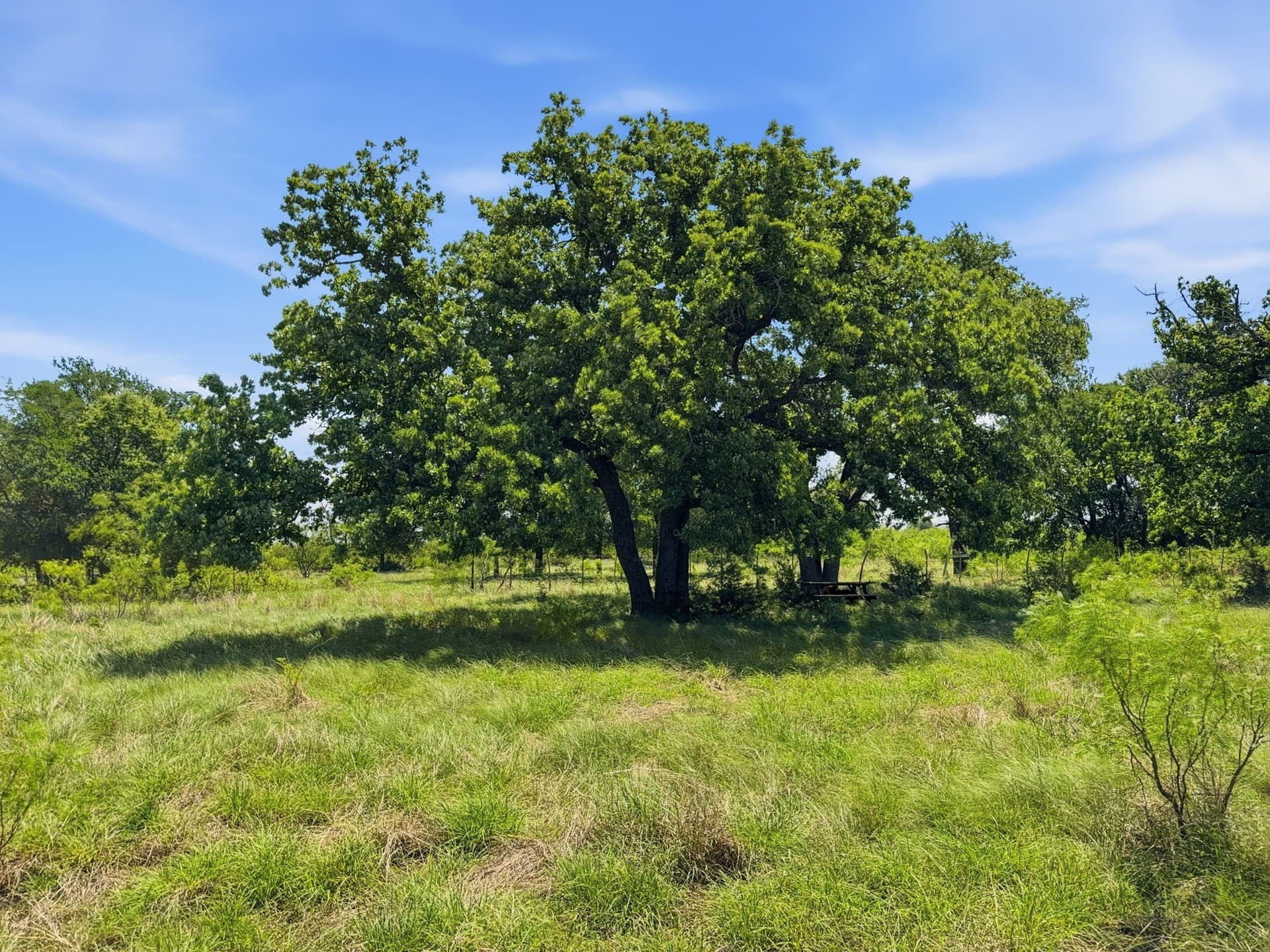 11.01 acres in Hamilton County