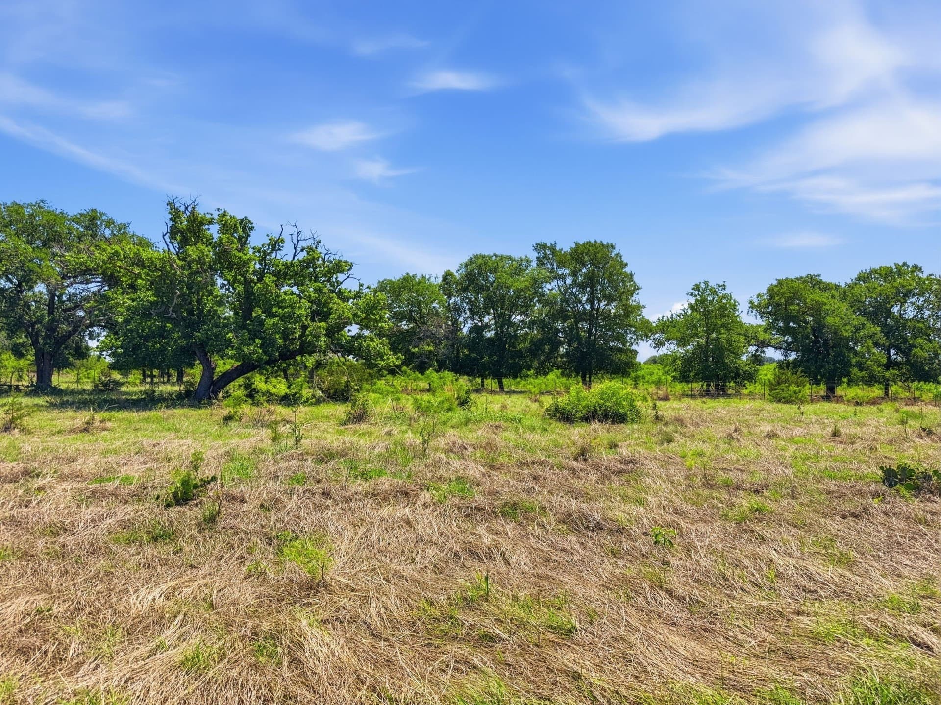 11.01 acres in Hamilton County - photo 6