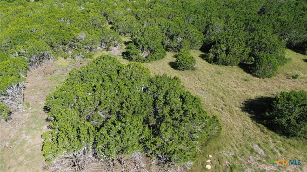 3.74 acres in Bell County gallery image 3