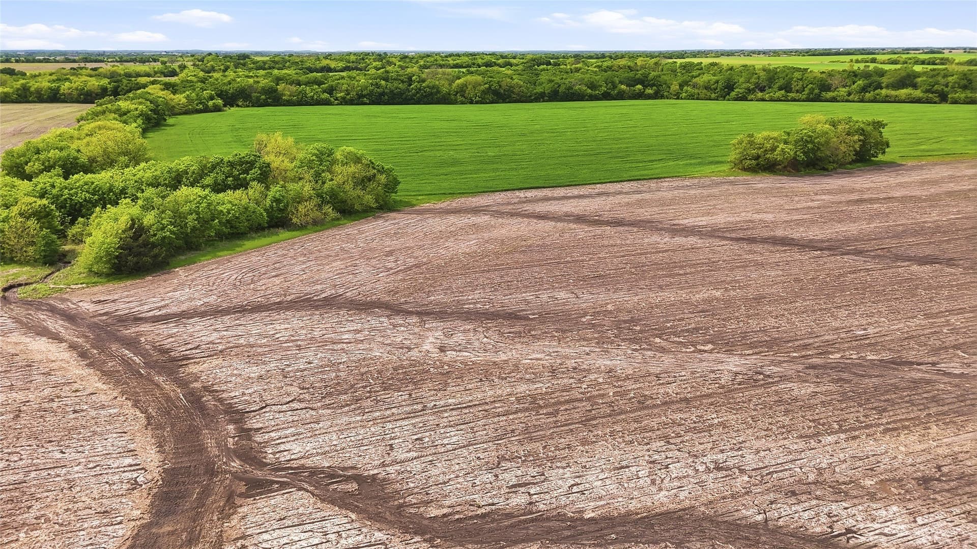 200.96 acres in Grayson County - photo 17