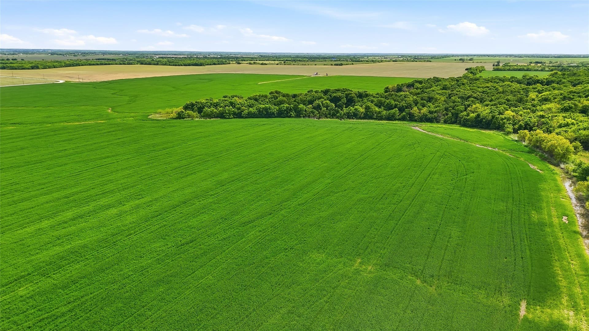 200.96 acres in Grayson County - photo 11