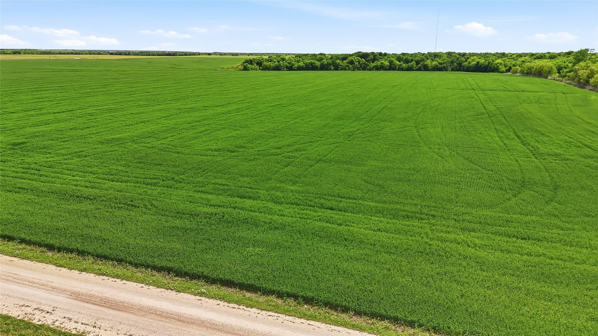 200.96 acres in Grayson County - photo 9