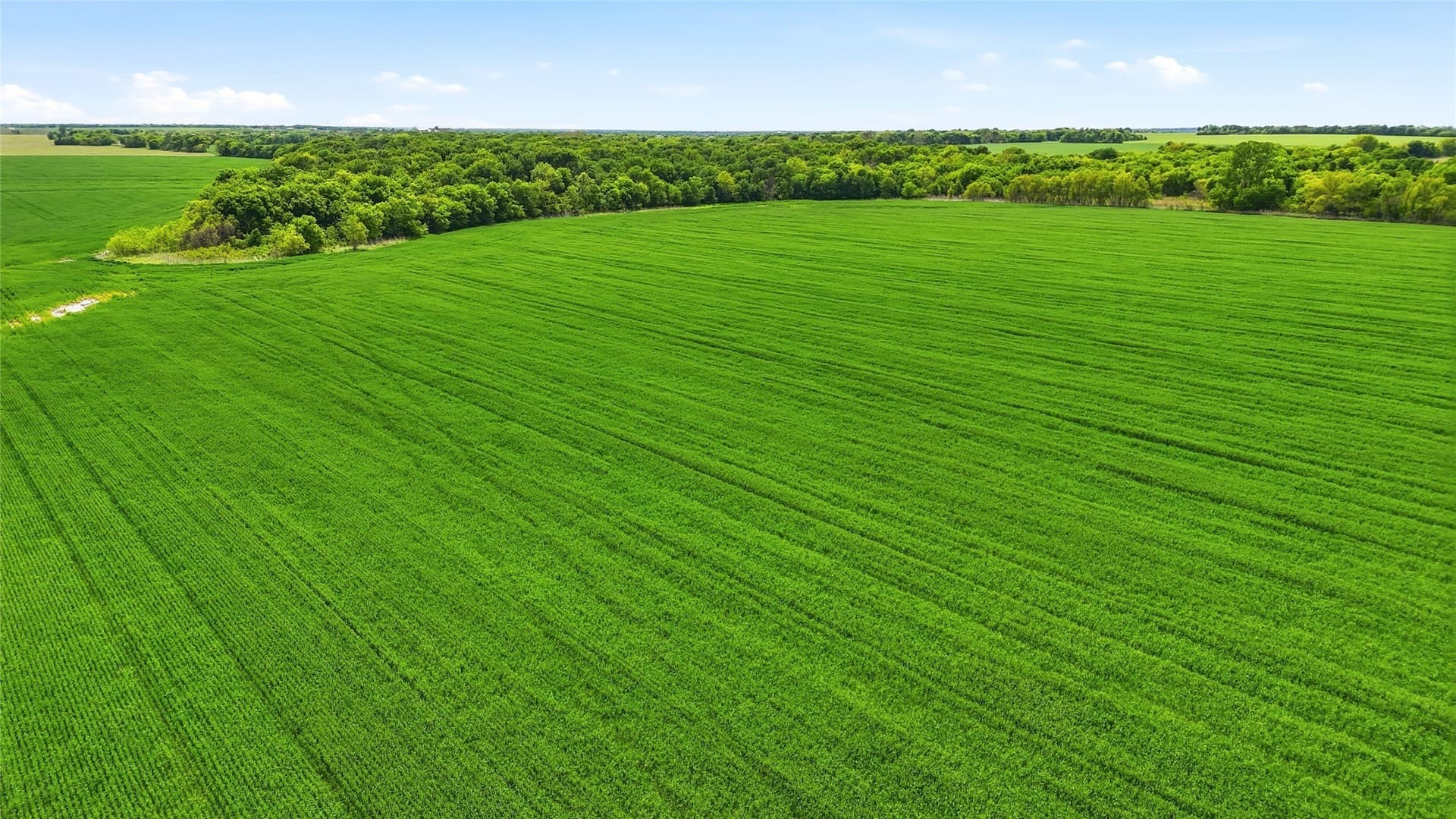 200.96 acres in Grayson County - photo 8