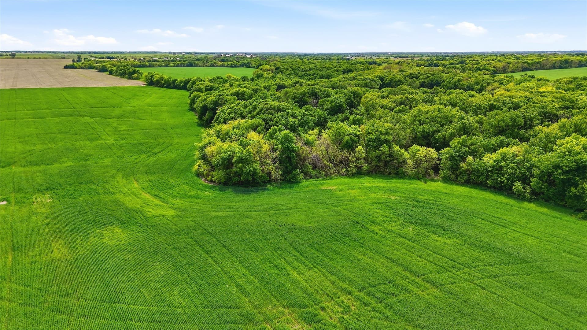 200.96 acres in Grayson County - photo 12