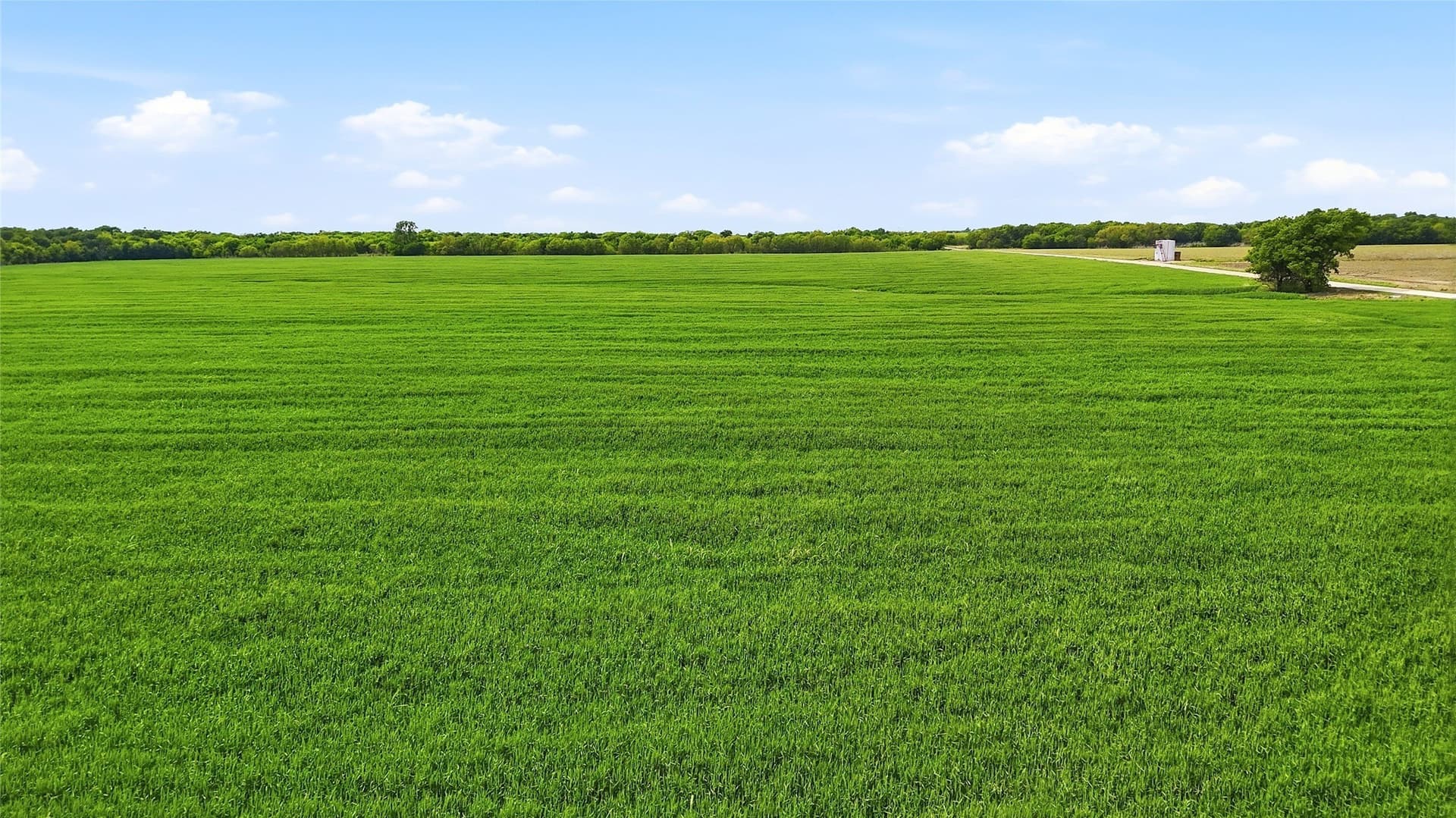 200.96 acres in Grayson County - photo 6
