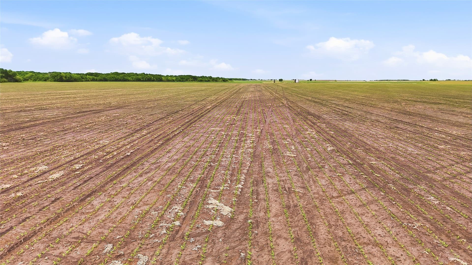 200.96 acres in Grayson County - photo 19