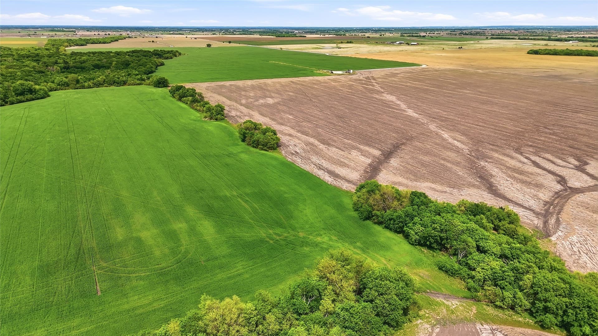 200.96 acres in Grayson County - photo 15