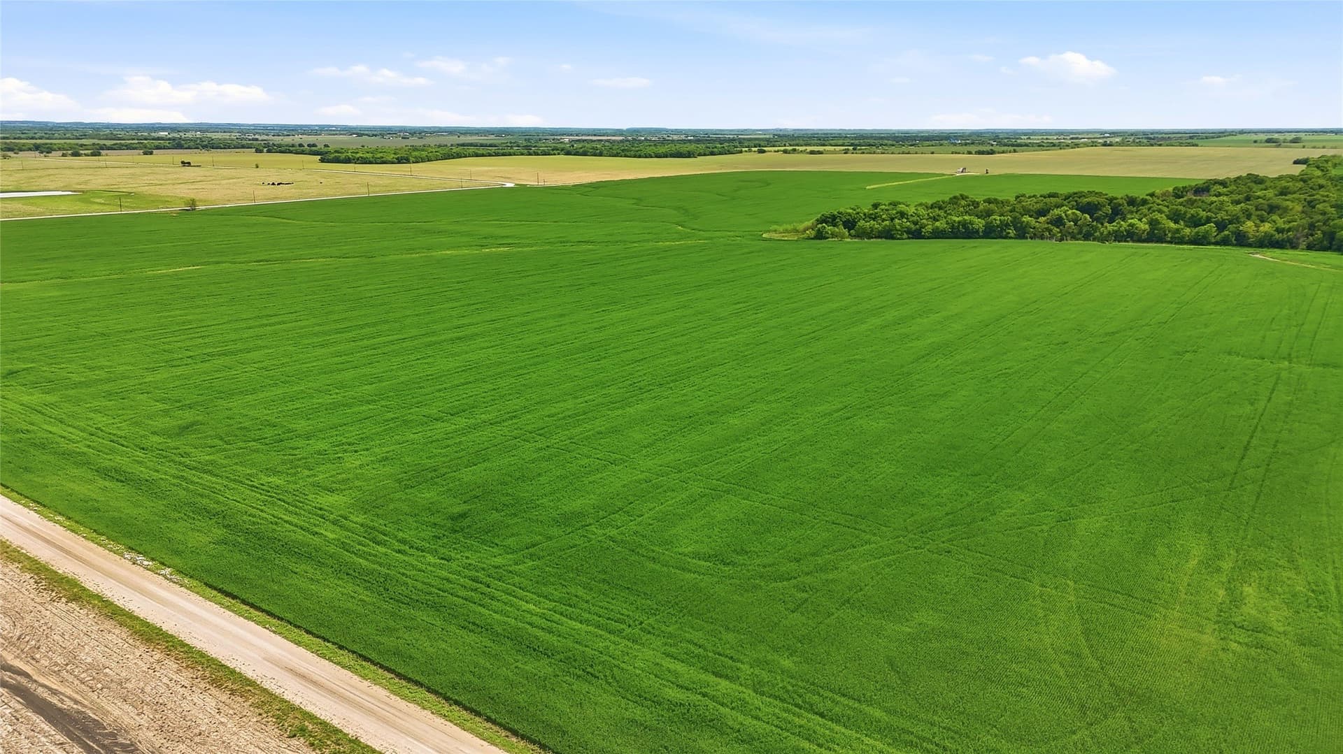 200.96 acres in Grayson County - photo 10