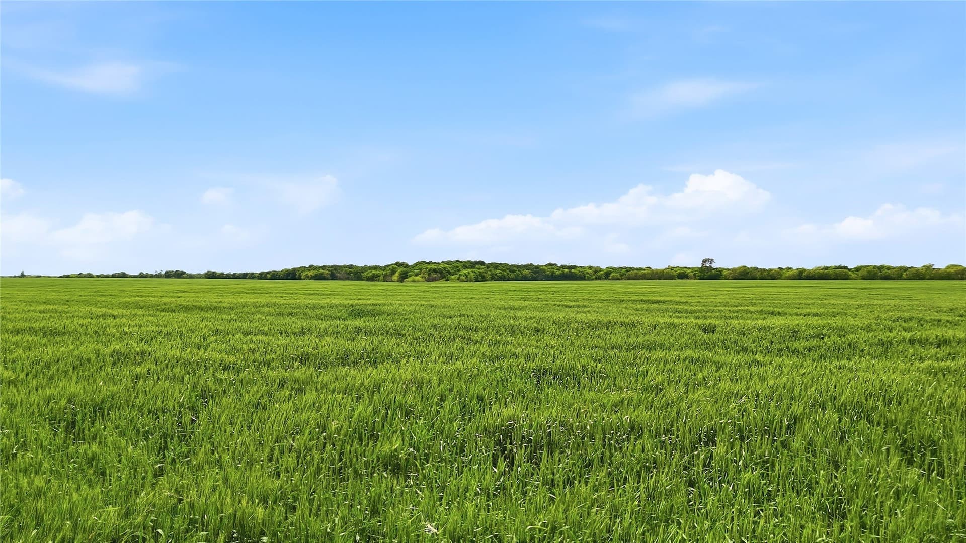 200.96 acres in Grayson County featured view