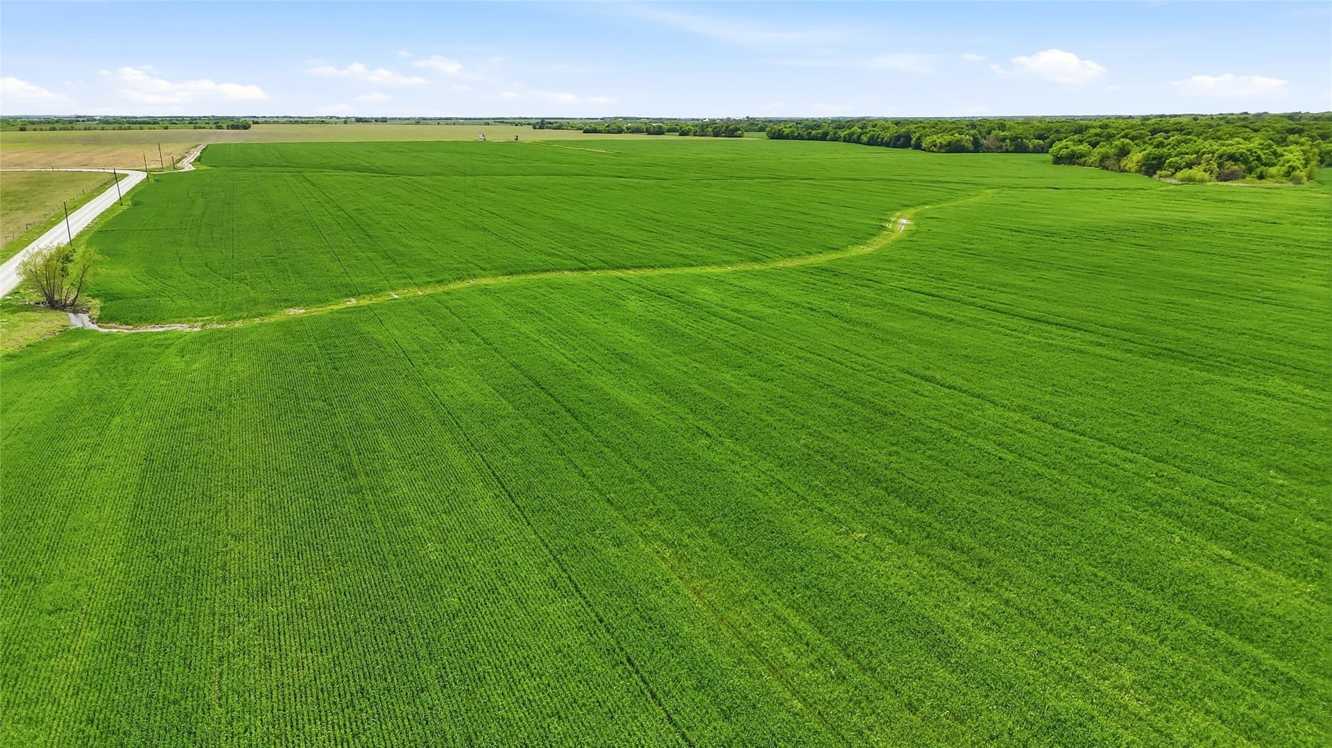 200.96 acres in Grayson County - photo 7