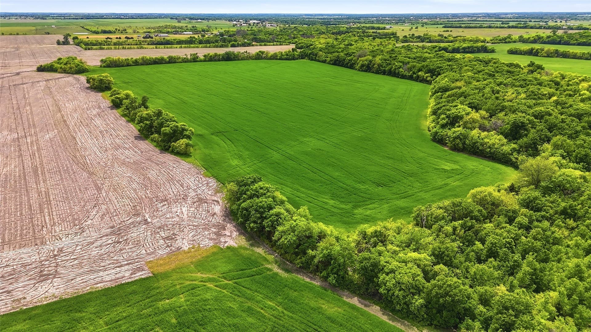 200.96 acres in Grayson County - photo 13