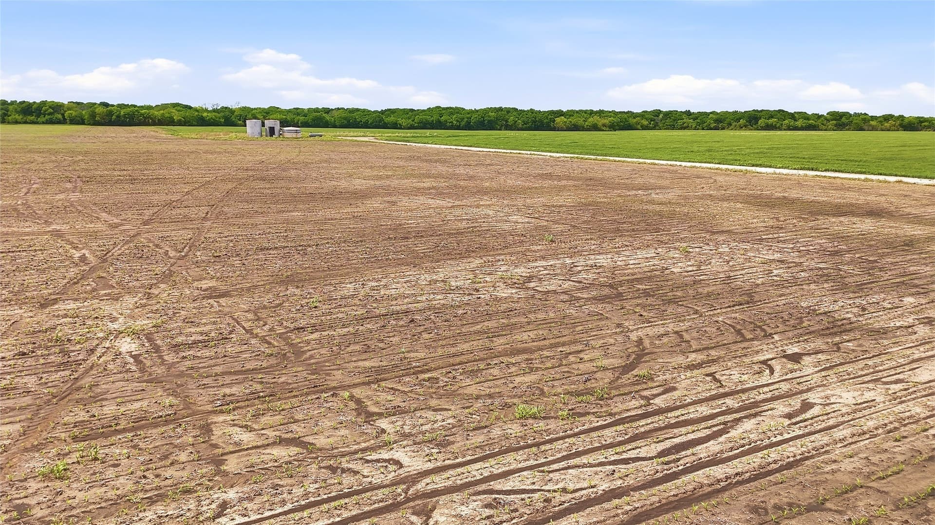 200.96 acres in Grayson County - photo 21