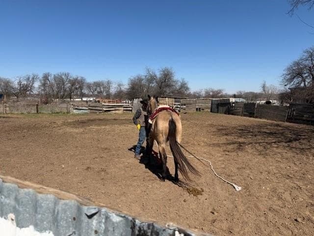 1.08 acres in Tarrant County gallery image 3