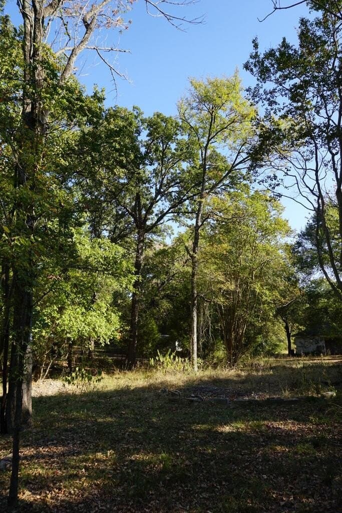 0.25 acres in HENDERSON County - photo 9