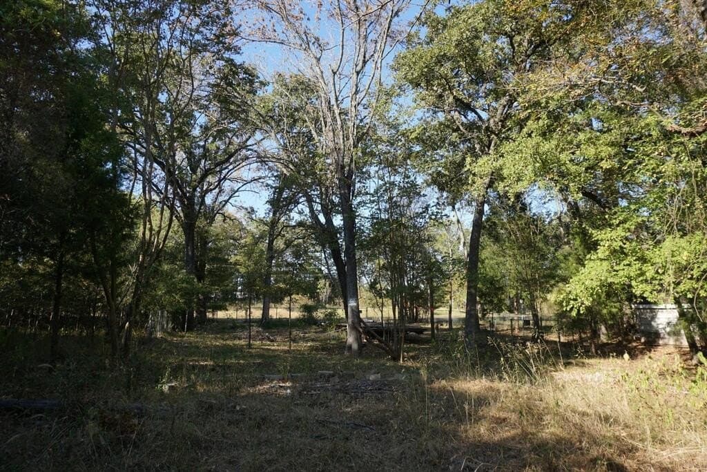 0.25 acres in HENDERSON County - photo 14