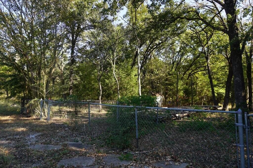 0.25 acres in HENDERSON County - photo 6