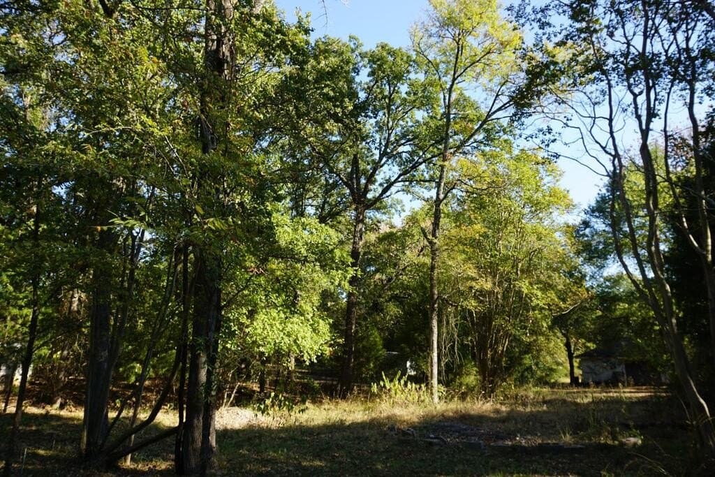 0.25 acres in HENDERSON County - photo 8
