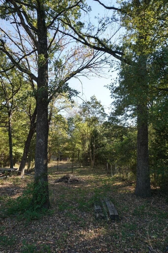 0.25 acres in HENDERSON County - photo 4