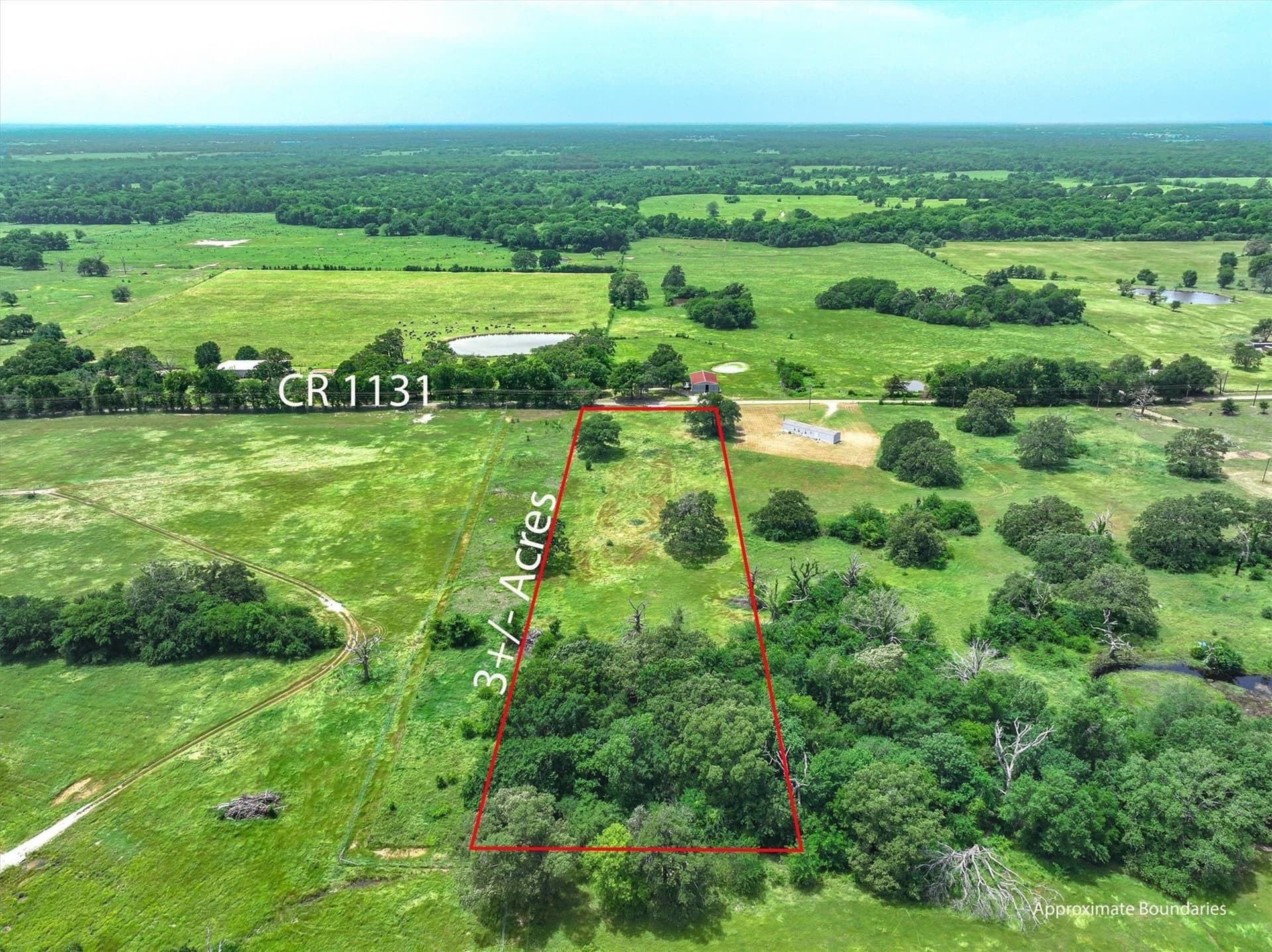 3 acres in Hopkins County - photo 9