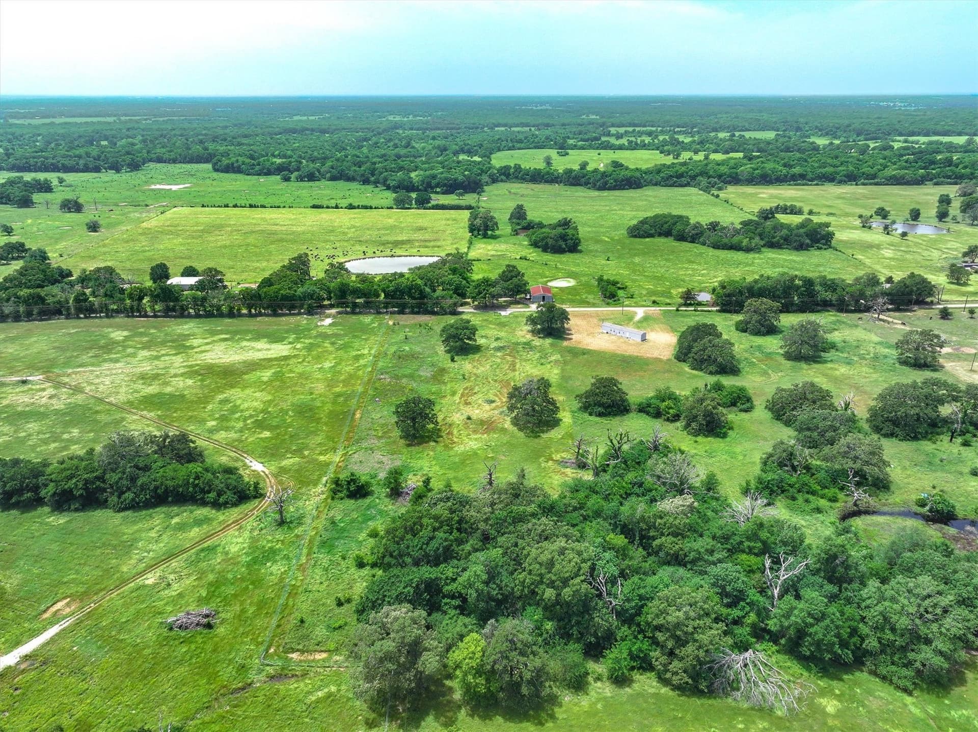 3 acres in Hopkins County - photo 8